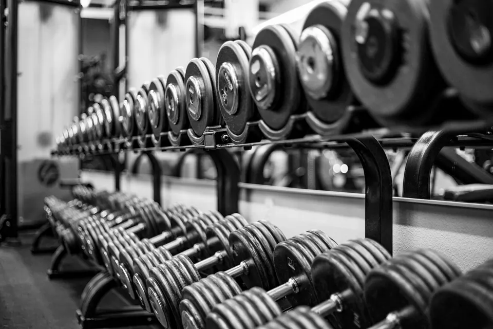 Free weights